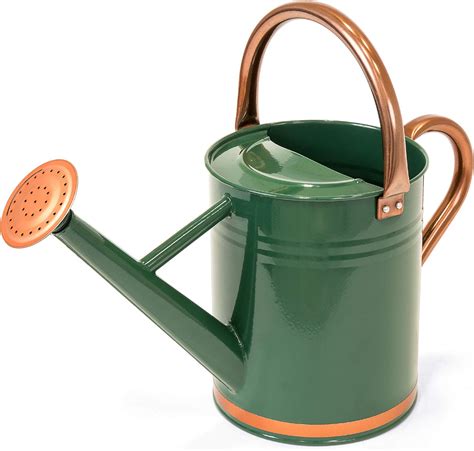 metal house plant watering can|metal water cans 5 gallon.